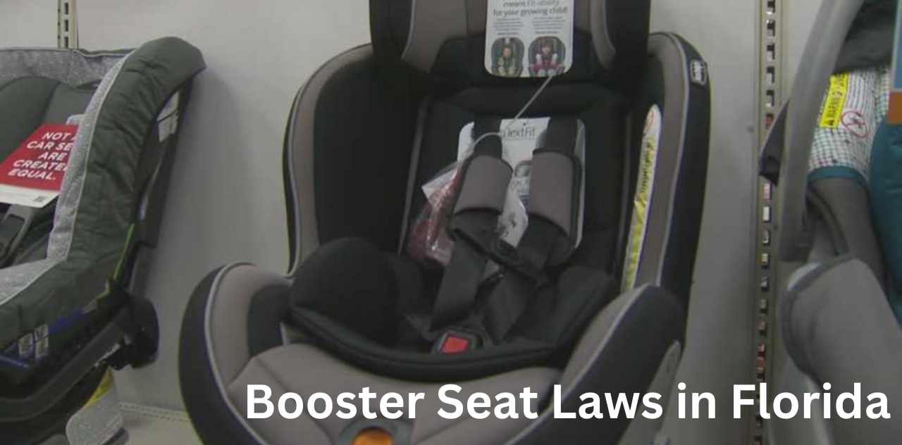 Booster Seat Laws in Florida