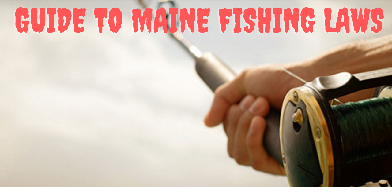 Guide to Maine Fishing Laws